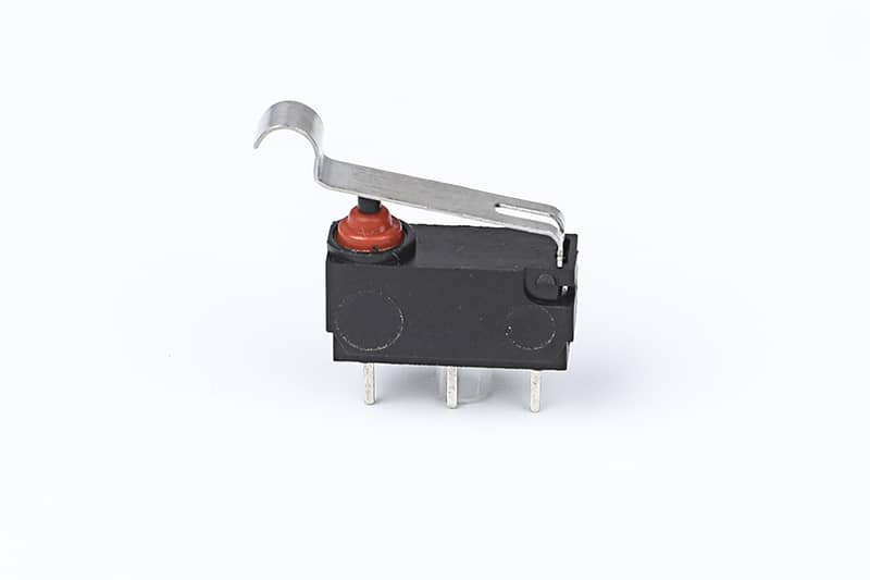 KP0A6119