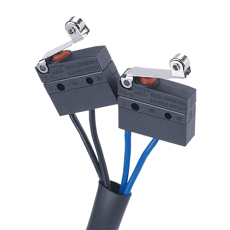 Door Micro Switch