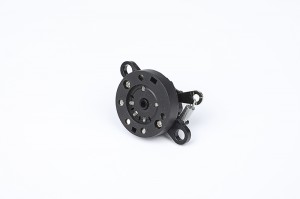 Rotary switches