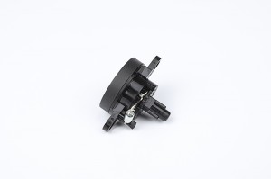Rotary switches
