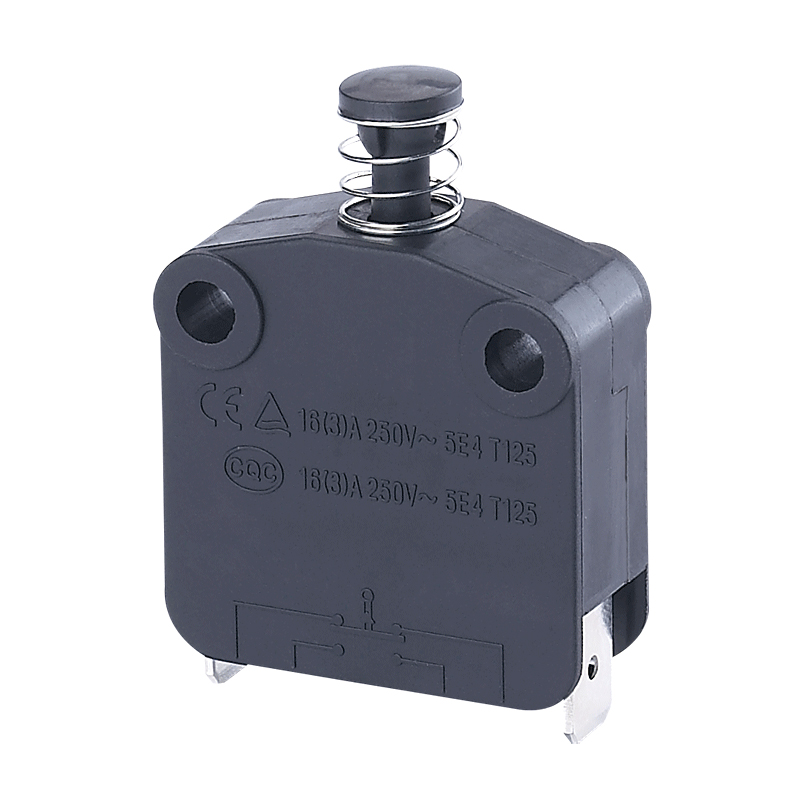 Automotive Micro Switches